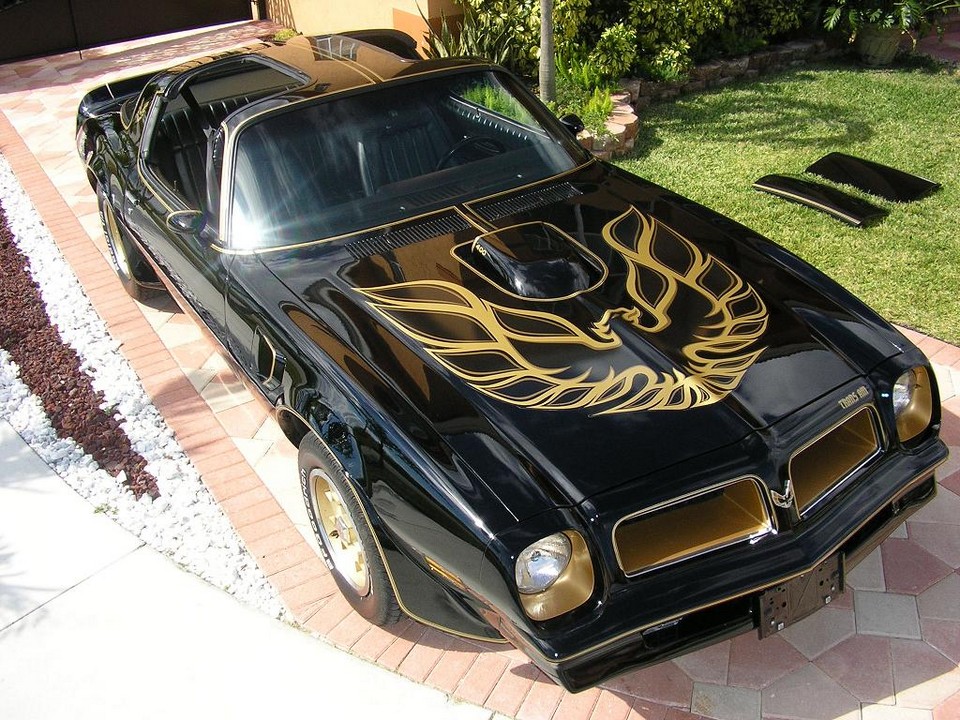 1977 Firebird T Tops