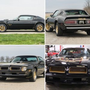 1976 50th Anniversary Black & Gold Pontiac Trans Am