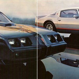 1979 Pontiac Firebird Trans Am Brochure Ad