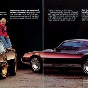 1981 Pontiac Firebird Trans Am Brochure Ad