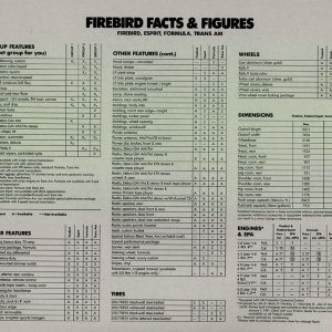 1981 Pontiac Firebird Trans Am Brochure Ad