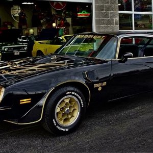 1976 Pontiac Firebird Trans Am Black and Gold