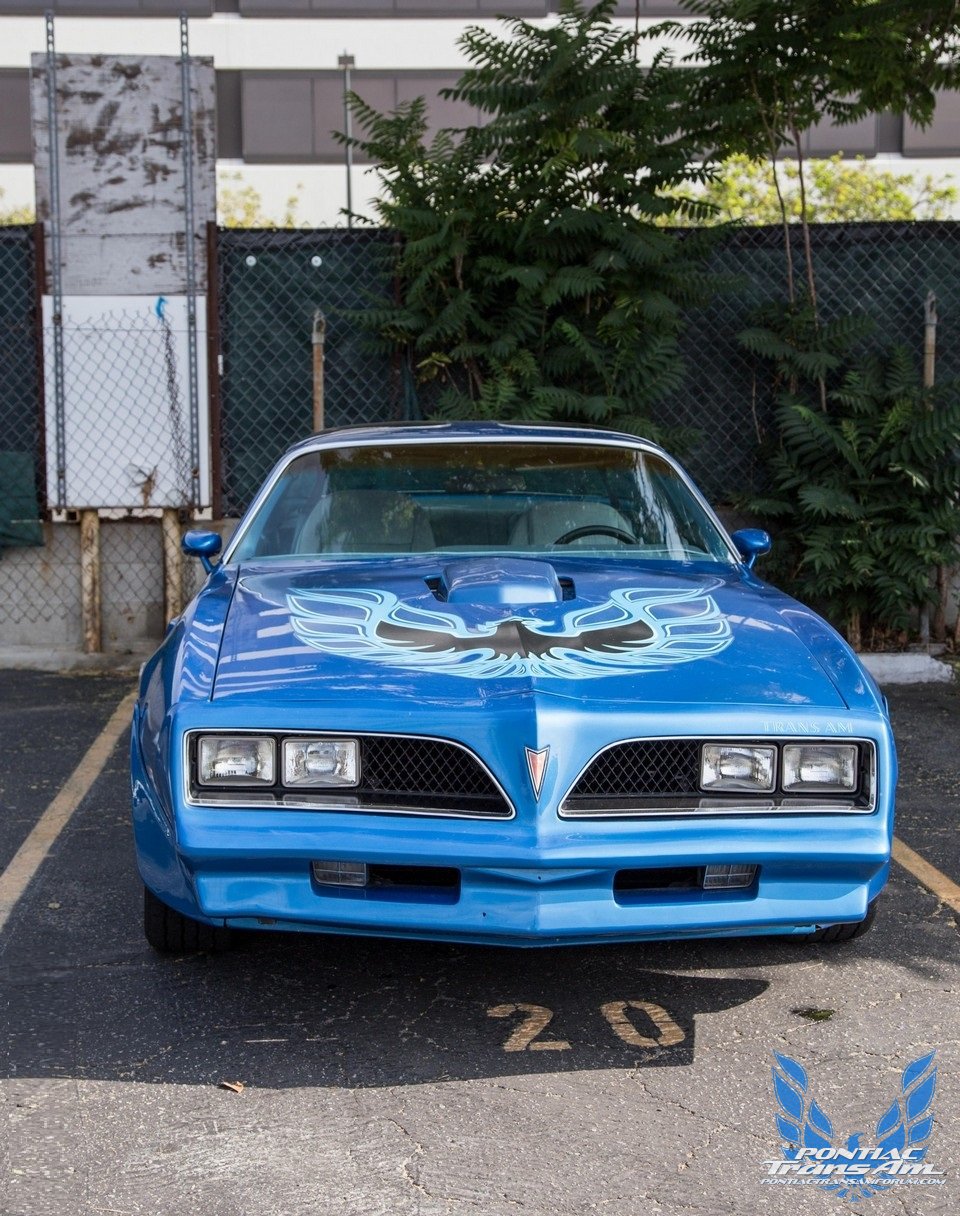 1977 Pontiac Firebird Trans Am - Blue | Pontiac Firebird Trans Am