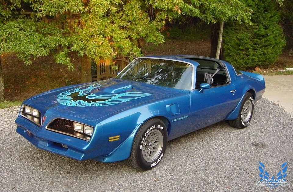 1977 Pontiac Firebird Trans Am - Blue