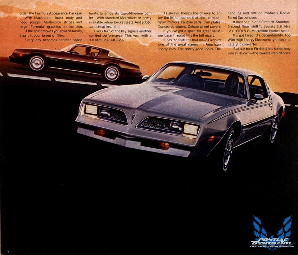 1977 Pontiac Firebird Trans Am Brochure Ad