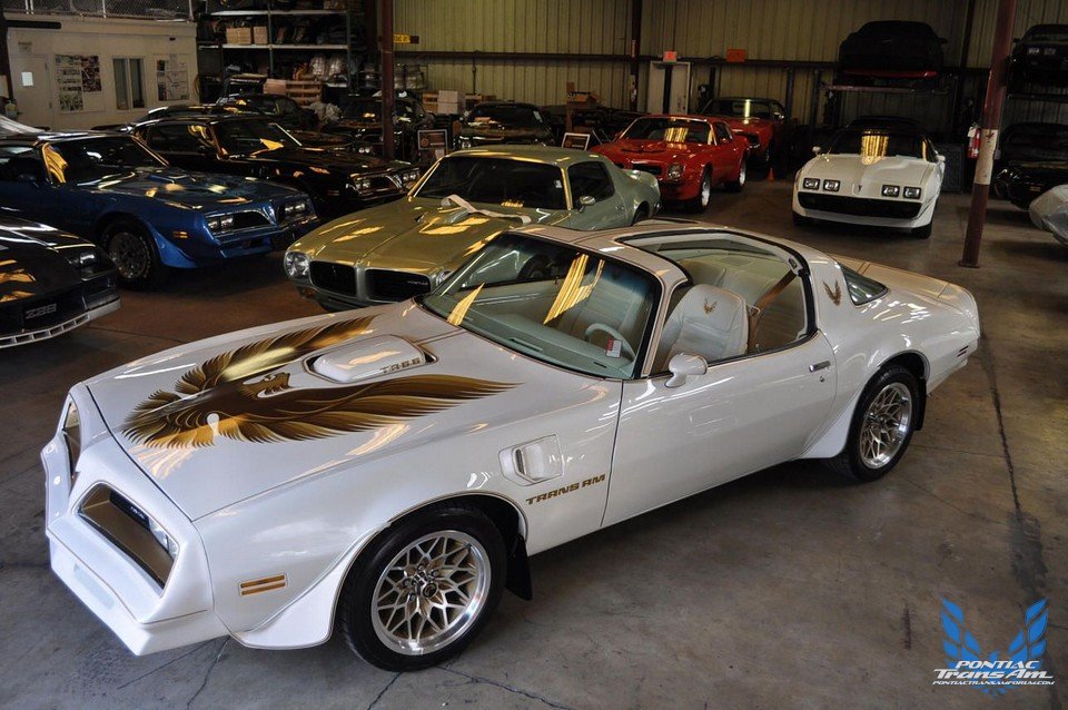 1977 Pontiac Firebird Trans Am - White & Gold