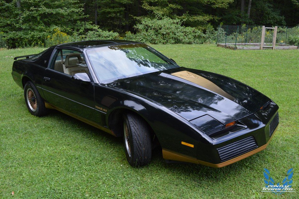 1982 pontiac trans am recaro edition