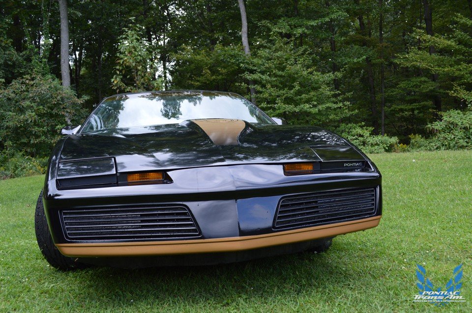1983 Pontiac Recaro Trans Am (Black and Gold)