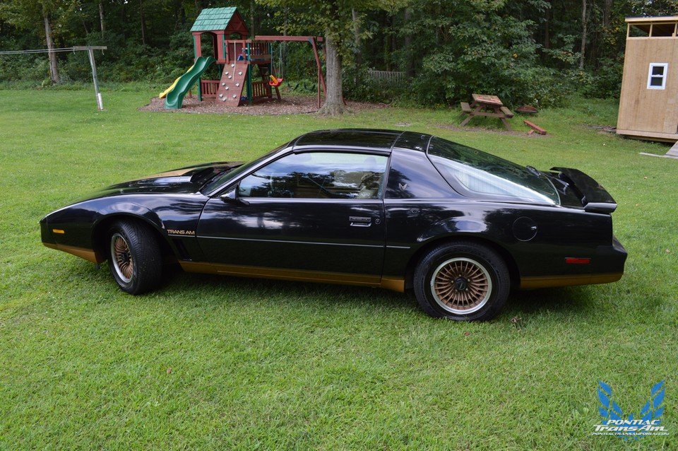1983 Pontiac Recaro Trans Am (Black and Gold)