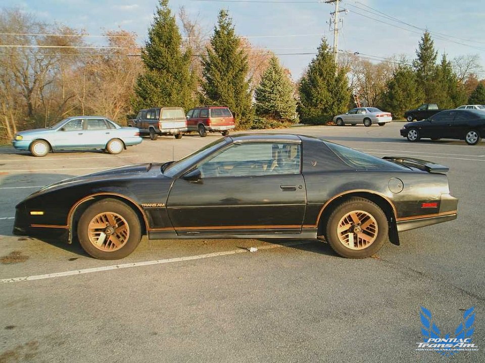 1982 pontiac trans am recaro edition