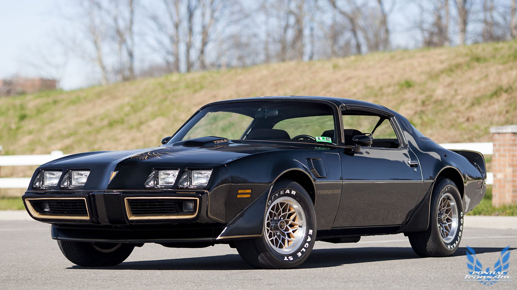 79 Black Trans Am SE | Pontiac Firebird Trans Am